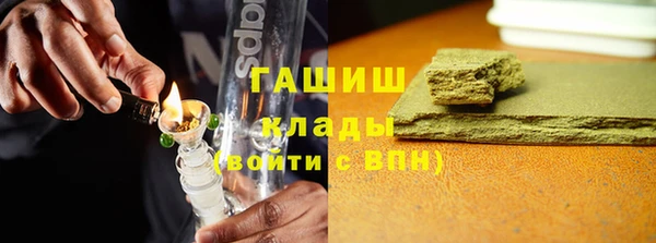 индика Волоколамск