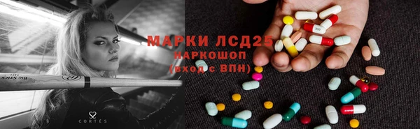 индика Волоколамск