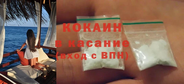 индика Волоколамск