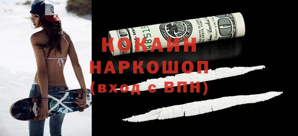 индика Волоколамск