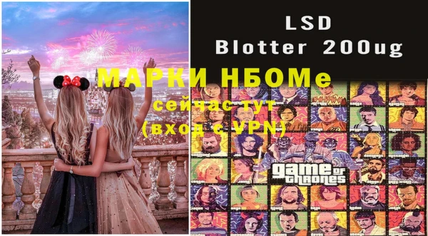 индика Волоколамск