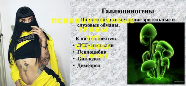 индика Волоколамск