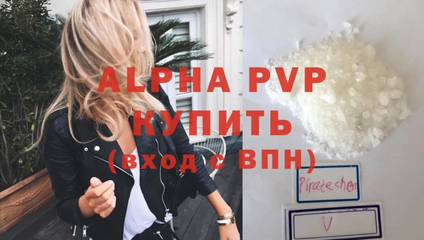 индика Волоколамск