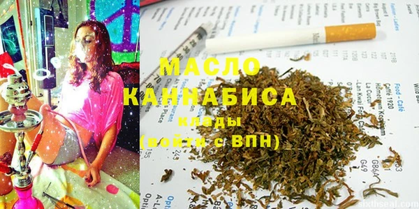 индика Волоколамск