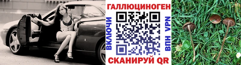 Псилоцибиновые грибы Psilocybe  Домодедово 
